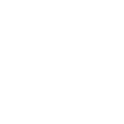 Corporate Workshops